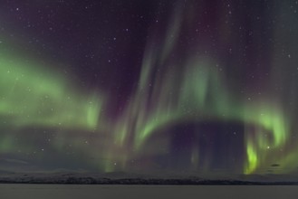 Northern Lights, Aurora borealis, frozen lake, mountains, winter, Torneträsk, Laponia, Lapland,