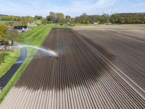Artificial irrigation of a potato field in April, with a sprinkler system, long drought in spring
