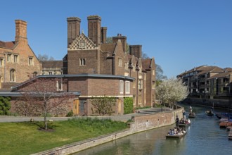 Punting, punting, Magdalene College, River Cam, Cambridge, England, Great Britain