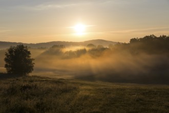 Sunbeams in the morning fog near Cunewalde, Upper Lusatia, Saxony, Germany, Europe