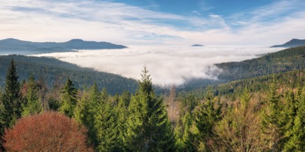 View from the Hindenburgkanzel over endless forests in autumn with valley mist, Bavarian Forest,