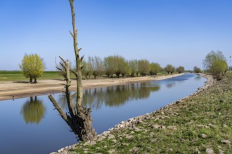 The Gierthausen oxbow lake near Schenkenschanz, Kleve, on the Lower Rhine, North Rhine-Westphalia,