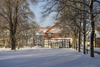 The snow-covered Gräflicher Park in Bad Driburg in winter, North Rhine-Westphalia, Germany, Europe