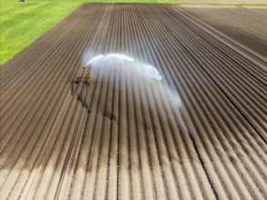 Artificial irrigation of a potato field in April, with a sprinkler system, long drought in spring