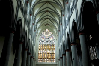 Ceiling vault and stained glass windows of the west façade, Altenberg Cathedral, Bergischer Dom,