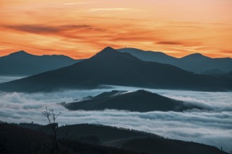 Detail of the fog about to rise in the sun Dawn cloudy one morning in the valley of Lesaka, Navarra