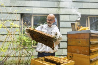 Jens Ardelt hiving a beehive. Since the beginning of 2023, 500, 000 new employees have been working