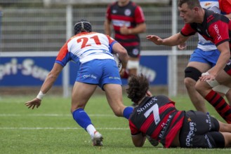 05.10..2024, Rugby 1st Bundesliga South/West, Season 2024/25, Matchday 4: Heidelberger Ruderklub
