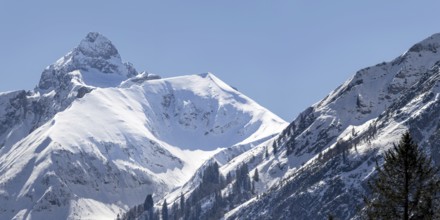 Mountain panorama to the Trettachspitze, 2595m, in winter, Allgäu Alps, Allgäu, Bavaria, Germany,