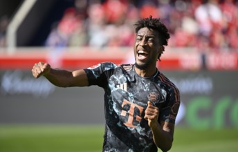 Goal celebration Kingsley Coman FC Bayern Munich FCB (11) Voith-Arena, Heidenheim,
