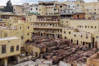 Tanners' and dyers' quarter, Fes el Bali, Fes, Morocco, Africa