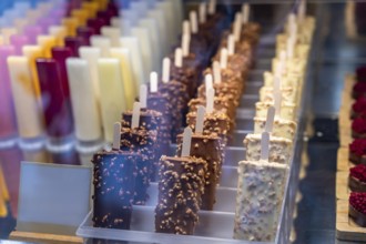 Delicious ice cream popsicles with chocolate and nuts coating displayed in rows in a shop window
