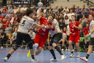11.09.2024, 2nd HBL (German Handball League), Matchday 7 (early game) : Owls Ludwigshafen against