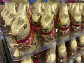 Display on retail shelf of wholesale chocolate Easter bunnies chocolate Easter bunnies chocolate