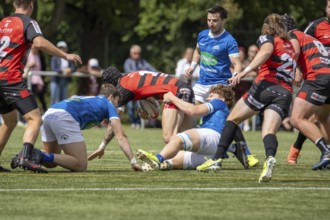 Heidelberg, 15.06.2024, Rugby 1st Bundesliga, 2023/24 season, final for the German championship: SC