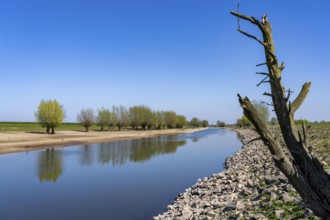 The Gierthausen oxbow lake near Schenkenschanz, Kleve, on the Lower Rhine, North Rhine-Westphalia,