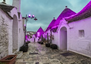 Trulli houses illuminated in purple light, Rione Monti, Alberobello, Apulia - Puglia, Italy, Europe