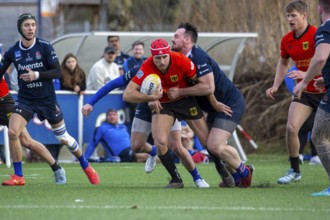 Rugby: Germany against MKS Pogon Awenta Siedlce, Poland in Heidelberg (test match of the German