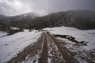 Snowy mountain landscape with cloudy sky and a narrow hiking trail to the Herzogstand, Kochel am