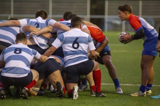 Rugby 1st Bundesliga South/West, season 2024/25, matchday 7 (catch-up match) : Heidelberger