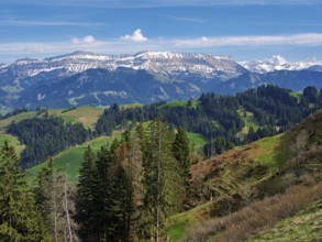 View from the Rämisgummen to the Schrattenfluh, Emmental, Canton Bern, Switzerland, Europe