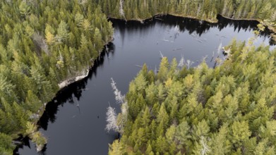Lake in the boreal forest. Region of La Mauricie. Province of Quebec. Canada