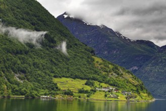 Fjord landscape with wooded slopes and calm water under a cloudy sky, Geiranger, Norway, Europe