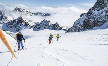 Ski tourer with rope, rope team on the Vadret da Porchabella glacier on the ascent to the summit of