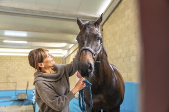 Female veterinary looking and caressing a horse after hydrotherapy on a center
