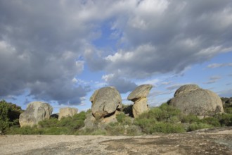 Landscape with rock formations, rocks, stones, bizarre, mushroom figure, mushroom-shaped, Los
