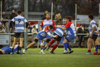 Rugby 1st Bundesliga South/West, season 2024/25, matchday 7 (catch-up match) : Heidelberger