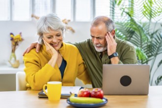 Senior couple doing accountability at home sitting using laptop and expressing happiness