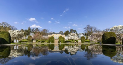 Water lily pond in the Wilhelma Zoological and Botanical Gardens in Stuttgart, with the historic