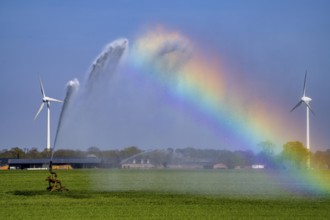 Artificial irrigation of a cereal field in April, with a sprinkler system, long dry spell in spring