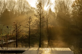 The Grugapark, Essen, botanical garden, park for leisure and recreation, by the forest lake, wooden