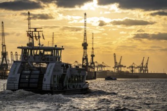 Port of Hamburg, view of the Blohm + Voss shipyard, evening, cranes of the container terminals,