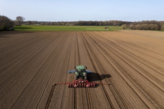 Sugar beet being sown in spring, precision sowing with precision seed drill, behind a tractor,