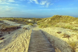 Amrum Island, landscape Germany, dune, dunes, grass, structure, form, vegetation, bphlen, path,