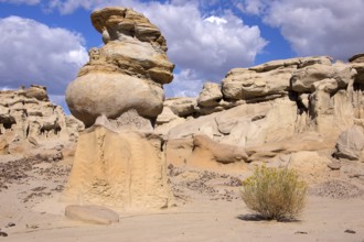 The Valley of Dreams, New Mexico, USA, Valley of Dreams, New Mexico, USA, North America