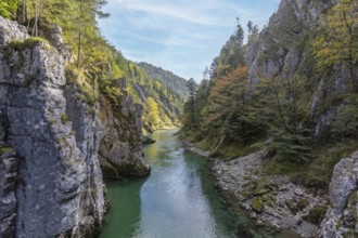 A calm river flows through a wooded gorge with rocky cliffs, Klobenstein