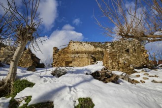 Snow-covered, abandoned ruin under a blue sky with bare trees in winter, village, Zourva, Lefka