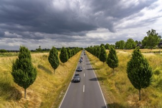 Dorstfelder Allee in Dortmund, completely new road built in 2013, former farmland, in the Dorstfeld