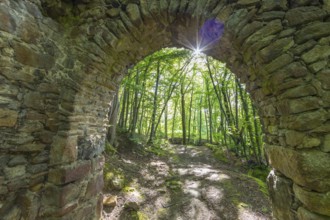 Ruins of the former Körse hilltop castle in Kirschau, Upper Lusatia, Saxony, Germany, Europe
