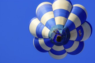 Rising hot air balloon with passengers on board, as part of the aviation festival on the Rossfeld
