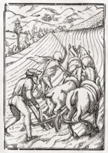 Der Tod kommt für den Bauern oder den Hausmann Woodcut by Georg Scharffenberg after Hans Holbein