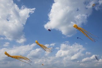 Squid as flying dragon, octupus, wind, childhood, figure, blue sky, autumn, Germany, Europe