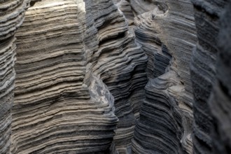 Las Grietas volcano columns, Lanzarote, Canary Islands, Spain, Europe