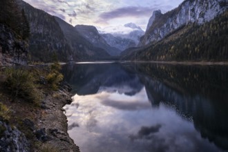 The Vordere Gosausee lake in the morning in autumn with a view of the Dachstein mountain range. The