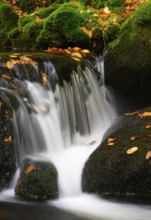 Waterfall in autumn, Kleine Ohe, Bavarian Forest National Park, Bavaria, Germany, Europe