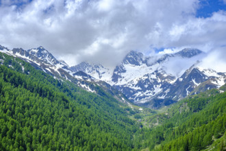 Mountain scenery in the Passeier Valley above Rabenstein, moss in Passeier, South Tyrol, Italy,